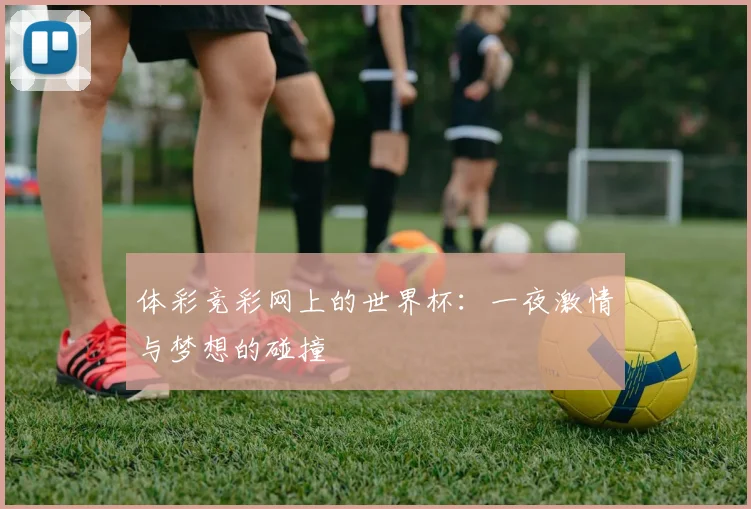 体彩竞彩网上的世界杯：一夜激情与梦想的碰撞
