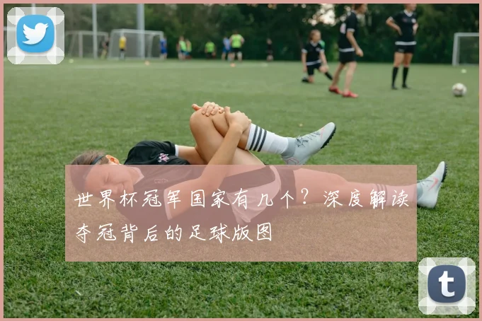 世界杯冠军国家有几个？深度解读夺冠背后的足球版图