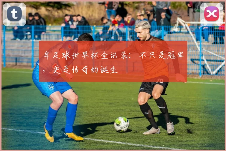 年足球世界杯全记录：不只是冠军，更是传奇的诞生