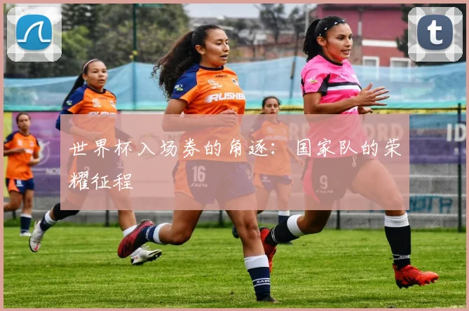 世界杯入场券的角逐:国家队的荣耀征程