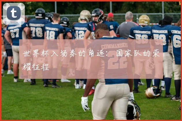 世界杯入场券的角逐:国家队的荣耀征程