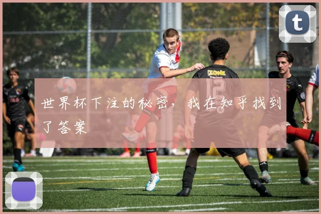世界杯下注的秘密，我在知乎找到了答案