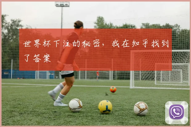 世界杯下注的秘密，我在知乎找到了答案